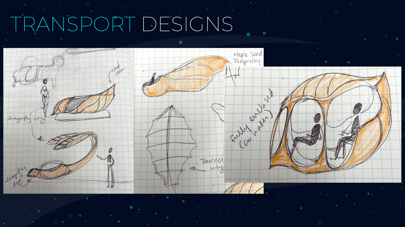 Transport designs: biophilic vehicles, based on plants and insects